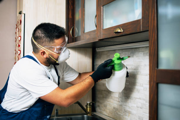 Best Pest Prevention Services  in Griffith, IN