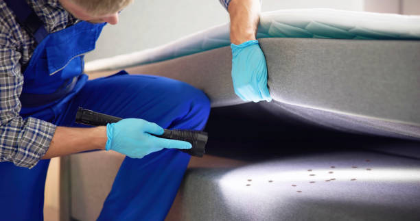 Best Local Pest Control Services  in Griffith, IN