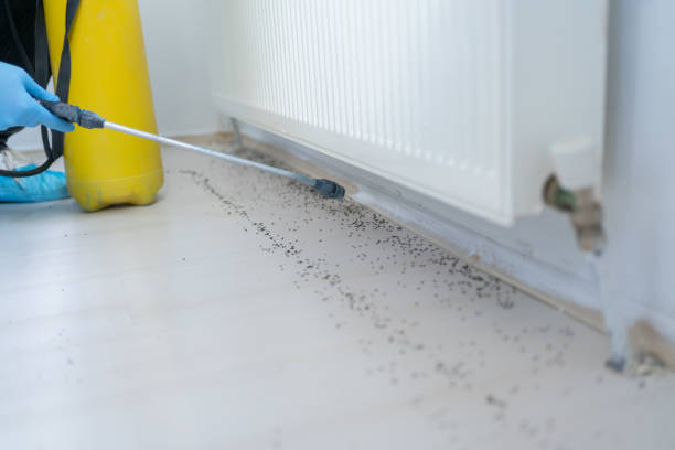 Best Pest Removal Services  in Griffith, IN
