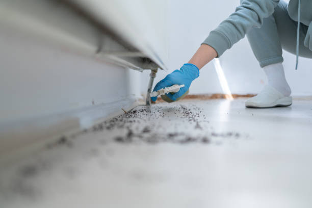 Best Commercial Pest Control Services  in Griffith, IN